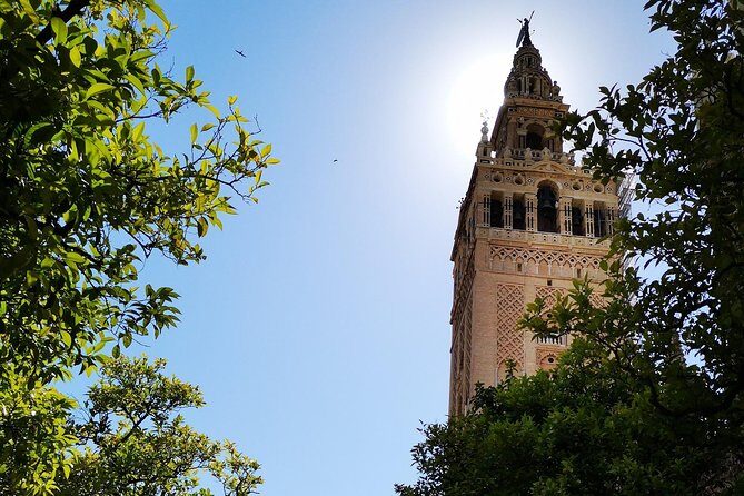 2h30 Private Walking Tour of Seville with Local Guide - Who This Tour Fits Best (and Who Might Feel Impatient)