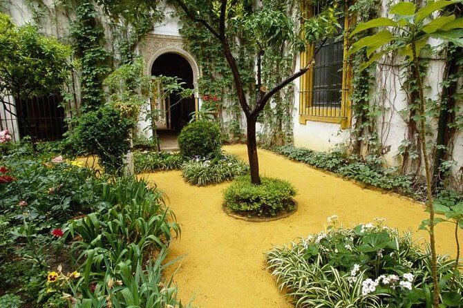 Alcázar and Jewish Quarter Guided Walking Tour in Seville - Starting at Plaza del Triunfo: getting your bearings fast