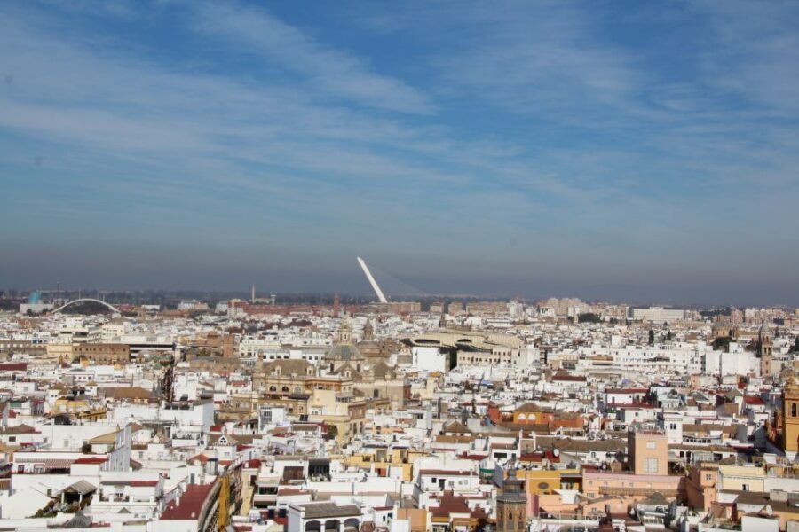 Alcázar Guided Tour & Rooftop Tour - Rooftop tour: the best angles on the cathedral, the Alcázar, and church towers