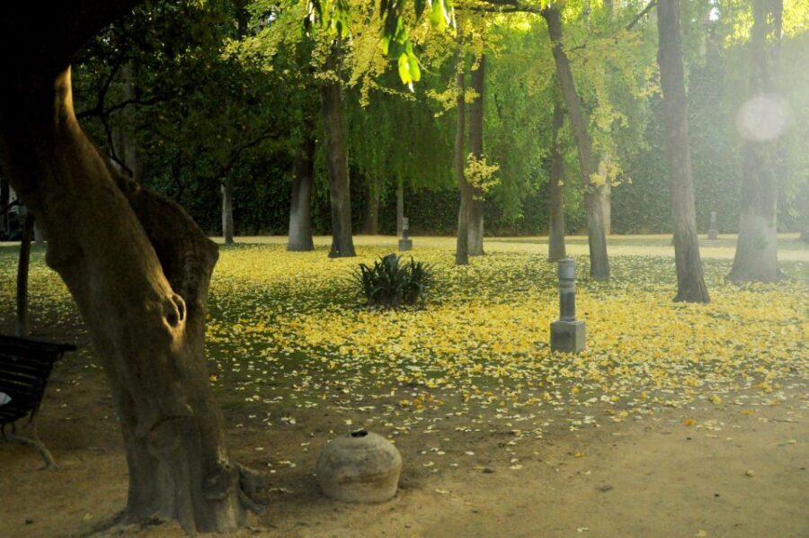 Alcázar of Seville Skip-the-Line Tickets and Guided Tour - Gardens Over 7 Hectares: Your Time to Slow Down