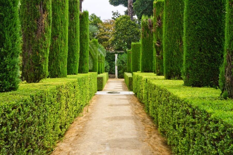 Alcazar of Seville VIP Tour - Key highlights to know before you go