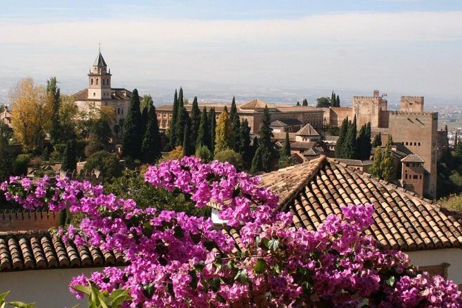 Alhambra Guided Tour & Albaicin Tour from Seville - Value check: is $95.34 a smart buy?