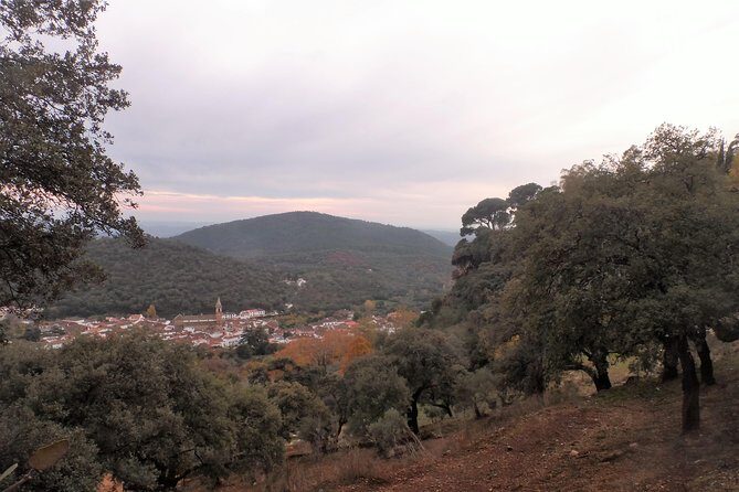 Aracena & Riotinto Mines Tour from Seville - Aracena Castle and Priory Church area: the hilltop payoff