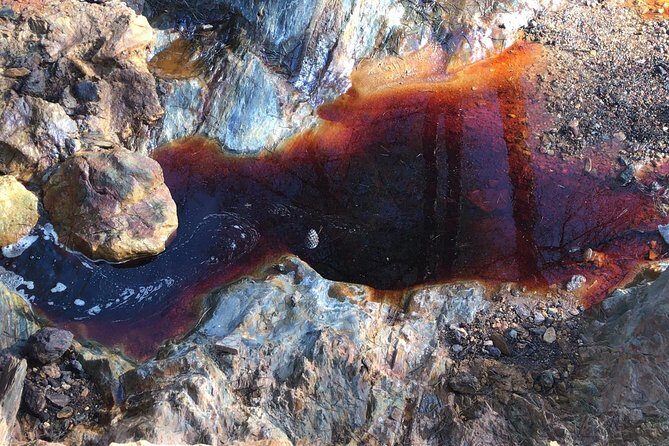 Aracena & Riotinto Mines Tour from Seville - Who should book this Aracena and Riotinto day trip?