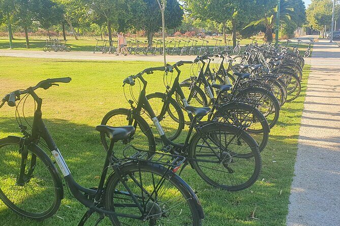 Bike Rental per Day in Seville - Key points I’d focus on before you book