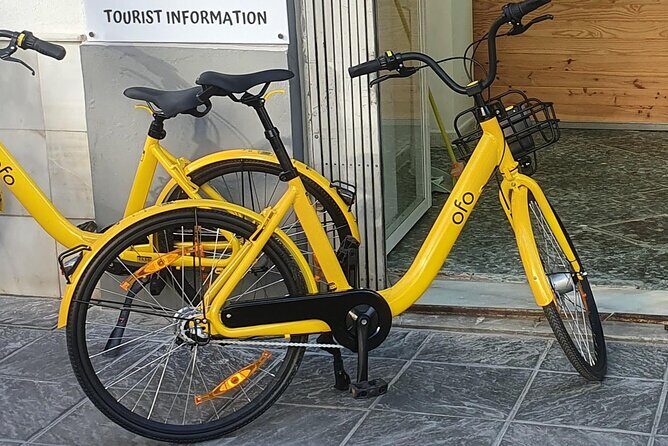 Bike Rental per Day in Seville - The Bikes: Lightweight, Comfortable, and Ready to Ride