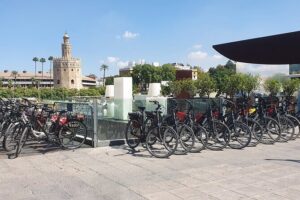Bike Rental per Day in Seville - Price and Value for a 1-Hour to 1-Day Rental