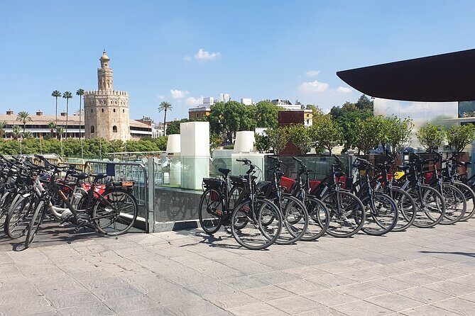 Bike Rental per Day in Seville - Price and Value for a 1-Hour to 1-Day Rental