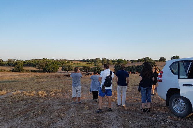 Bull Breeding Farm: Guided Half-Day Tour from Seville - Price and value: what $114.14 buys you in real terms