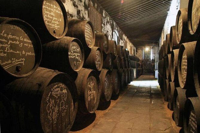 Cadiz and Jerez Day Trip from Seville - Timing and free time: the fine print you feel in your feet