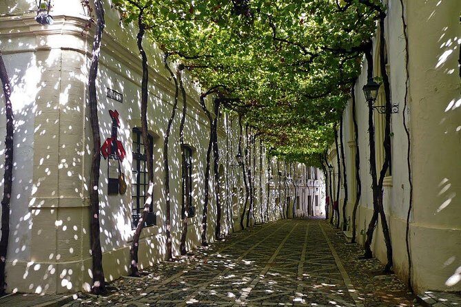 Cadiz and Jerez Day Trip from Seville - Price and value: is $119.48 worth it?