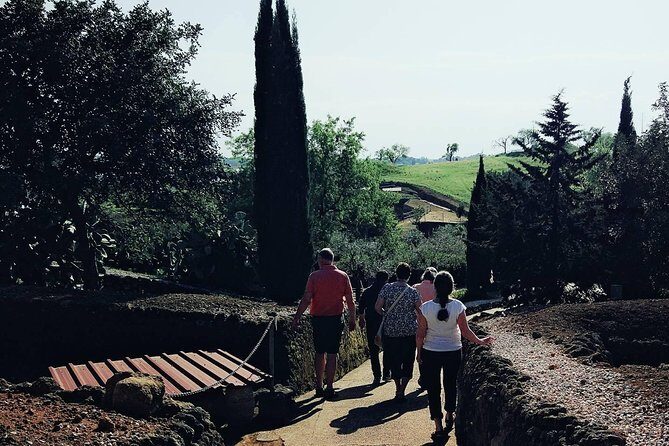 Carmona and Necropolis: Guided Day Tour from Seville - When Necropolis access changes: how guides keep the day on track
