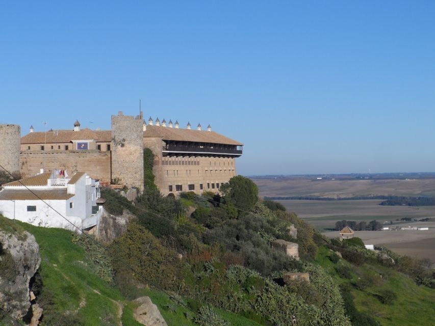 Carmona and Necropolis Tour from Seville - Key things to know before you go