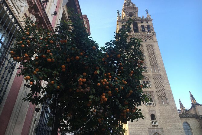 Cathedral and Real Alcàzar in Italian - Meeting at Plaza del Triunfo and the relaxed 3-hour rhythm