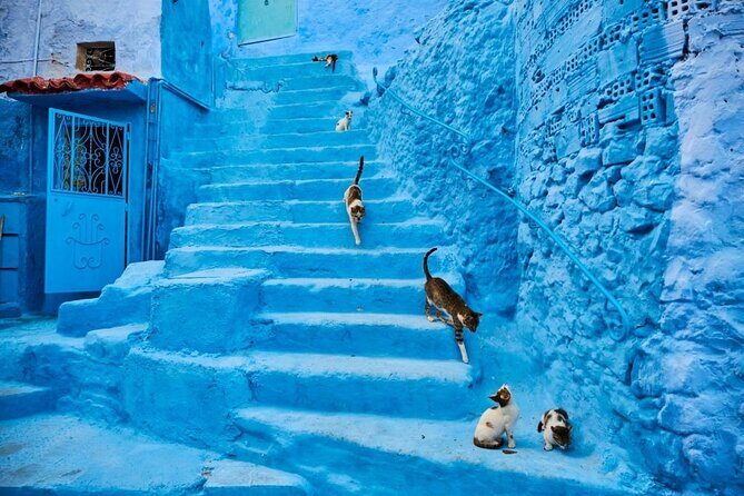 Chefchaouen Day Trip from Seville - What This Seville-to-Chefchaouen Day Trip Really Gives You