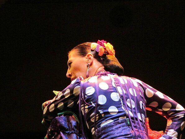 Combined ticket: Puro Flamenco Show + Flamenco Museum visit - Key highlights to know before you go