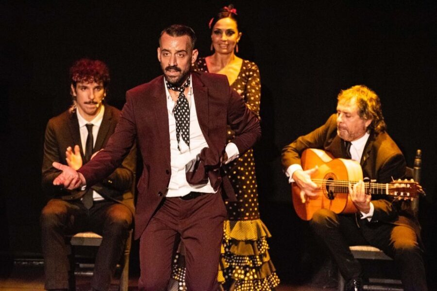 Combo: Hop on hop off + Flamenco Show & Walking tours - Key highlights at a glance