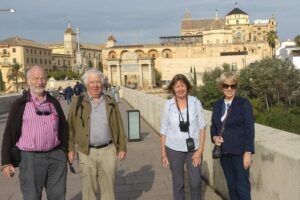 Cordoba City Tour with Mosque-Cathedral from Seville - Royal Stables and Patios de San Basilio: the side of Córdoba most people miss