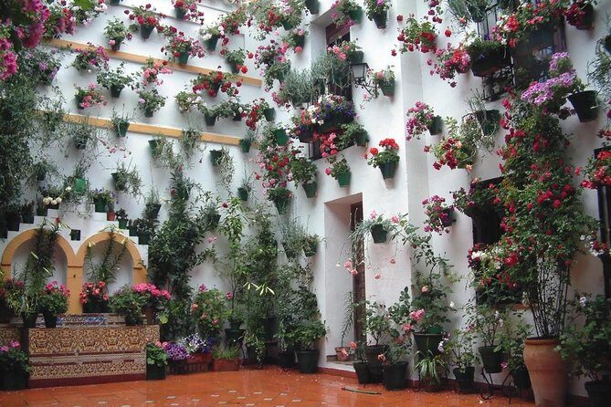 Cordoba Highlights: Guided Day Tour from Seville - Price and value: is $283.86 worth a one-day detour?