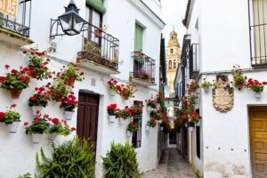 Cordoba Private Daytrip From Sevilla - Pickup in Seville: why door-to-door matters
