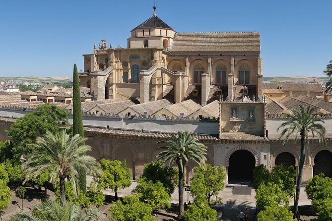 Cordoba Private Daytrip from Sevilla by Train - Who this private Córdoba daytrip suits best
