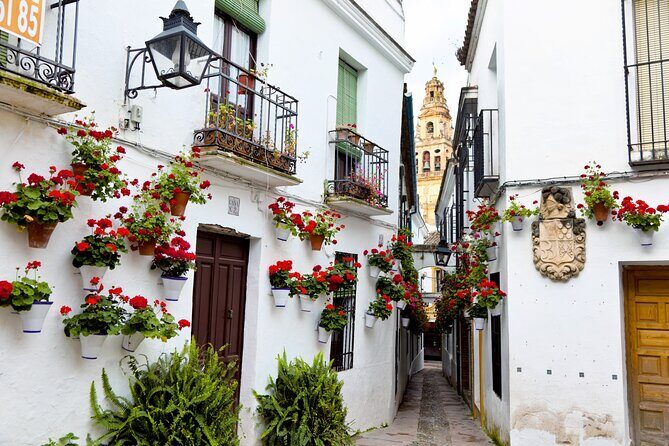 Cordoba Private Daytrip From Sevilla - Pickup in Seville: why door-to-door matters