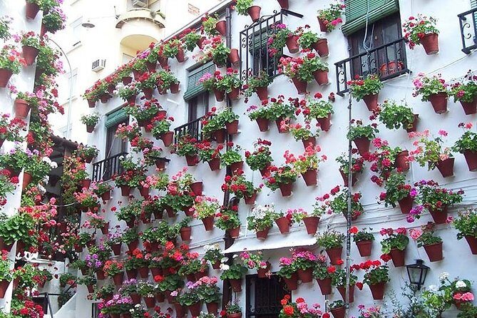Cordoba private tour from Seville including the great Mosque for up to 8 persons - Key Highlights Worth Knowing