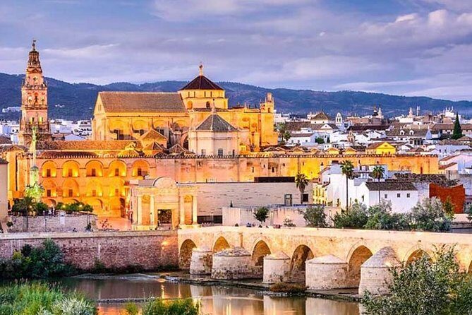 Cordoba private tour from Seville including the great Mosque for up to 8 persons - Price and Logistics: When This Private Format Is Worth It