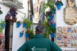 Cordoba Private Tour with Mosque Entrance from Seville - Carmona Stop: A Scenic Reset Before Córdoba