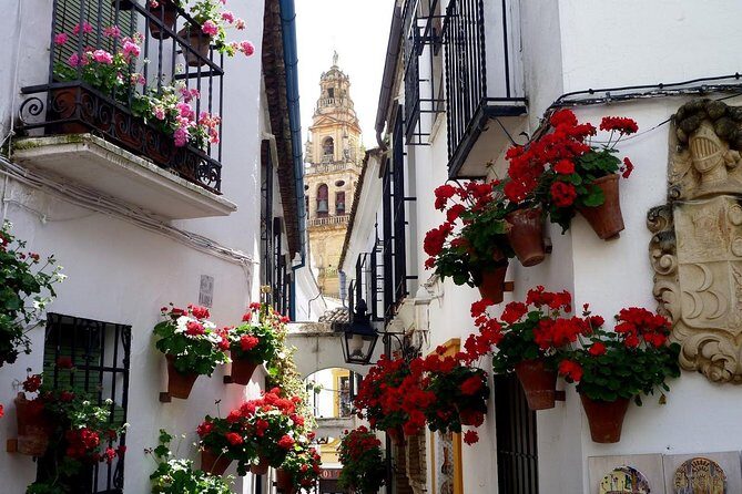 Cordoba & & The Mosque Small-Group Day Tour from Seville - Córdoba Synagogue and Plaza de Maimonides: Short Stops With Big Echoes