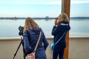 Donana National Park and El Rocío: Guided Tour from Seville - Price and value: what $107.68 buys you (and what it doesn’t)