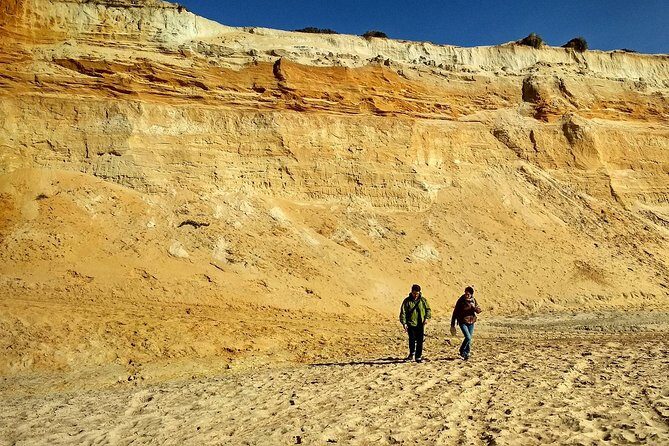 Donana National Park and El Rocío: Guided Tour from Seville - Morning logistics: pickup points, early start, and seat reality