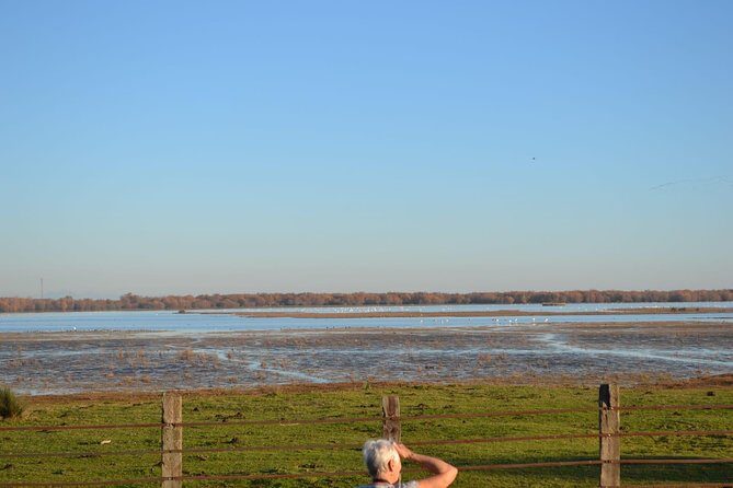 Donana National Park and El Rocío: Guided Tour from Seville - Stop by stop: the Doñana marshes and bird country you’re heading for