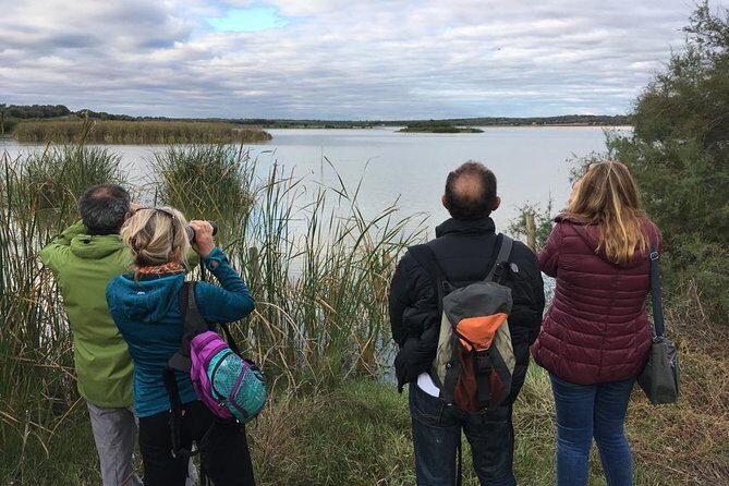 Donana National Park and El Rocío: Guided Tour from Seville - La Rocina walking route: the best way to read animal tracks