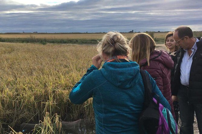 Donana National Park and El Rocío: Guided Tour from Seville - The 4x4 return and the Iberian lynx chances