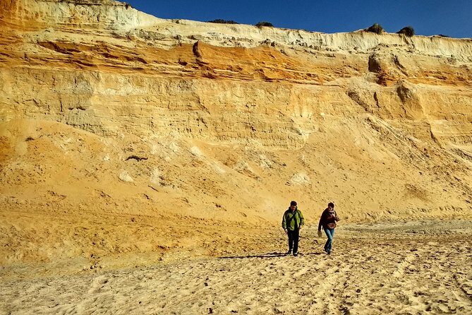 Donana National Park and El Rocío: Private Tour from Seville - El Rocío village in one hour: pilgrimage without the marathon