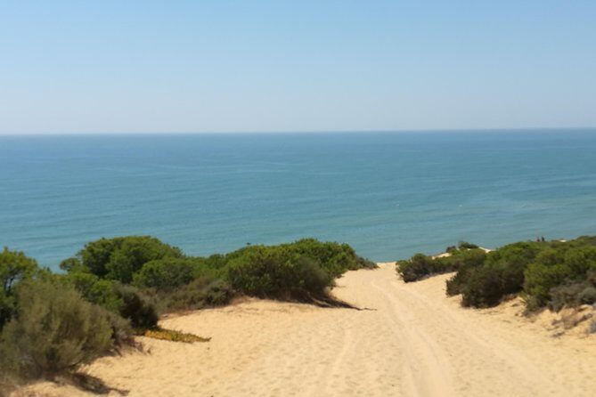 Donana National Park: Guided Day Tour from Seville - El Rocío and the sanctuary: culture meets the wetlands