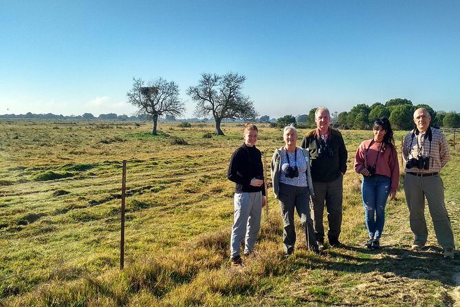 Donana National Park: Guided Day Tour from Seville - The main event: Doñana National Park viewing near El Rocío