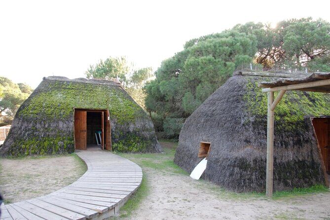 Doñana National Park in 4x4 and El Rocío - Key highlights you’ll feel on the day