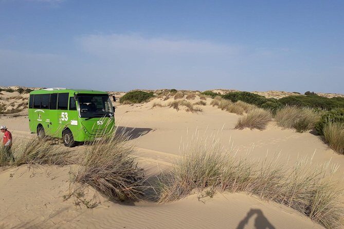 Doñana National Park in 4x4 and El Rocío - Why Doñana’s 4x4 access is the point