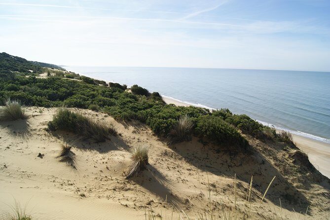 Doñana National Park in 4x4 and El Rocío - El Rocío: pilgrimage town, birdwatching moments, and time to roam