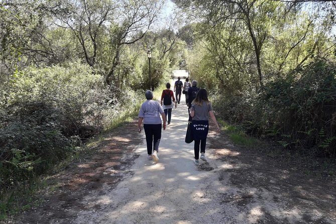 Doñana National Park in 4x4 and El Rocío - Price and value: what you get for $107.17