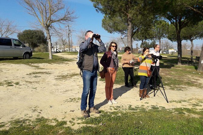 Doñana National Park in 4x4 and El Rocío - The guide factor: why named experts matter