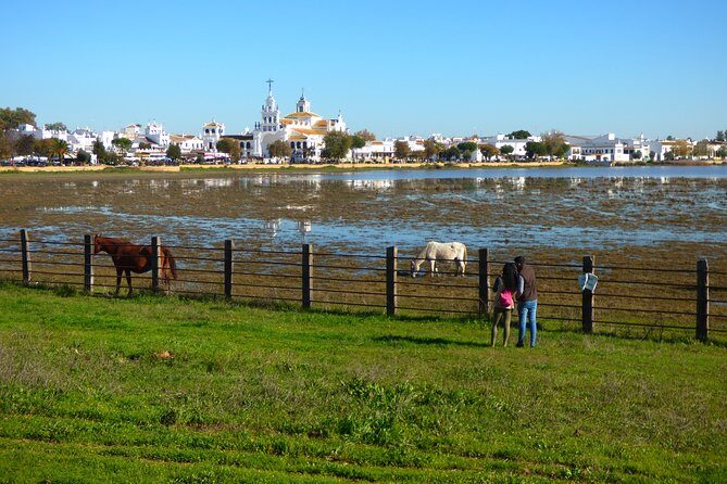 Doñana National Park in 4x4 and El Rocío - The 4x4 route: beach, dunes, forest, and marshes (even when they’re dry)