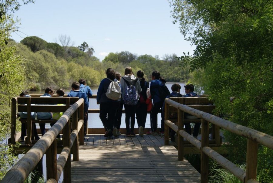 Doñana National Park Off-Road Tour from Seville - Key things that make this Doñana off-road tour worth your time