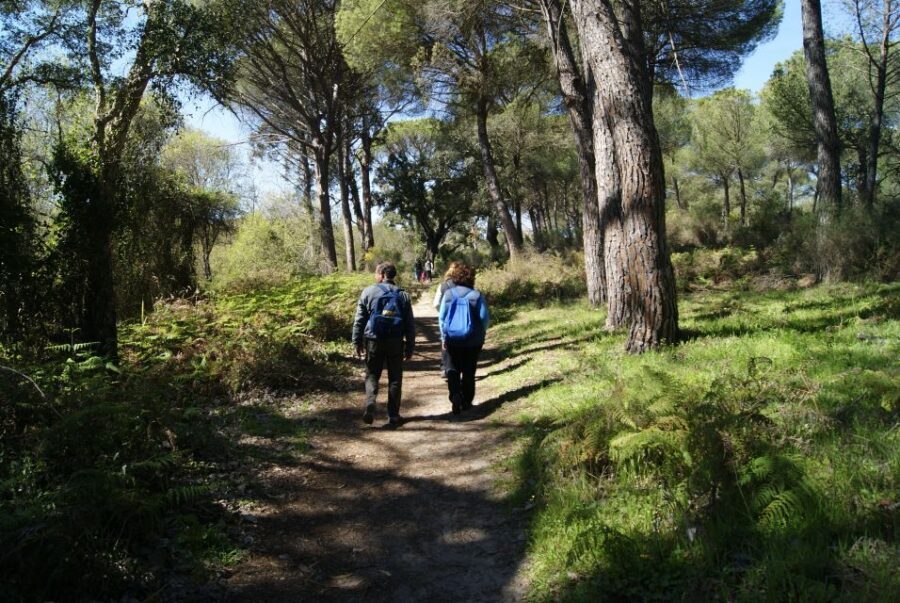 Doñana National Park Off-Road Tour from Seville - Why Doñana by 4WD feels different from a normal day trip