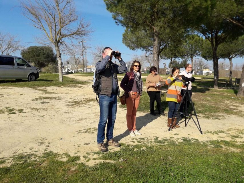 Doñana National Park Off-Road Tour from Seville - What you might see (and what you should accept as chance)