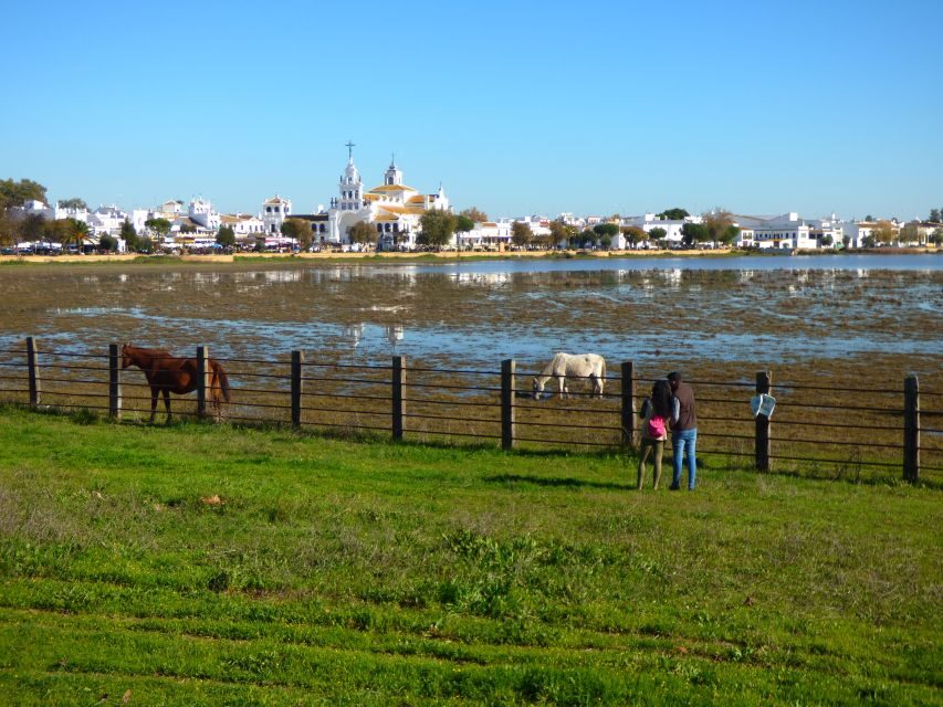 Doñana National Park Off-Road Tour from Seville - Seville pick-up and the drive toward El Rocío