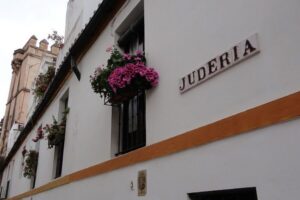Enchanted Seville Walking Tour - Patio de Banderas and the short intro that sets your mental map