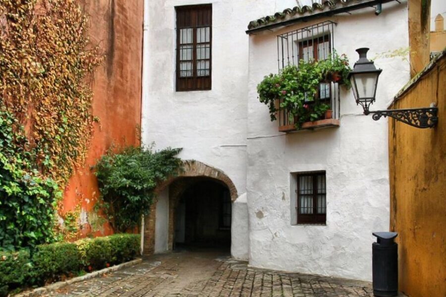Enchanted Seville Walking Tour - Las Setas at Plaza de la Encarnación: the modern ending that snaps into focus